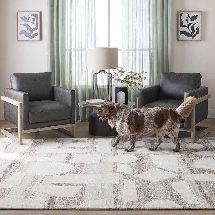 Lavin Sachin collection rug N2003-0203 in room with dog walking across carpet